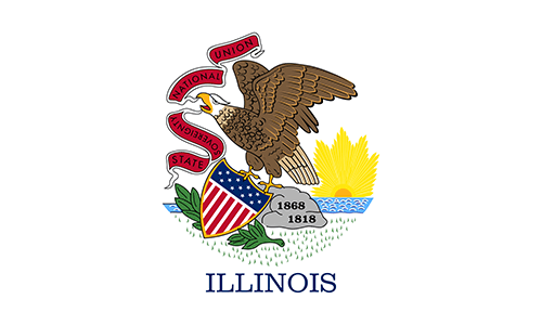 doing business in illinois with a delaware llc