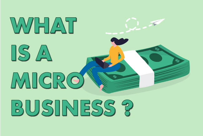 Micro Business