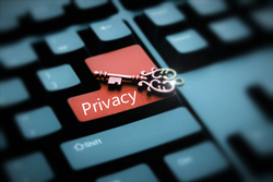 delaware llc privacy