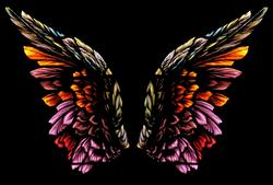 how to find angel investors
