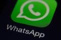 Start a company over WhatsApp