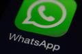 Start a company over WhatsApp