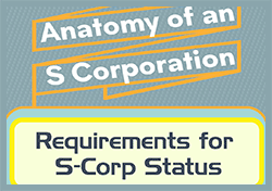 s corporation structure