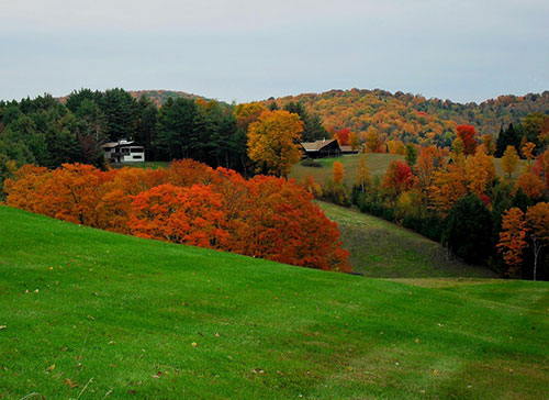 vermont foreign qualification