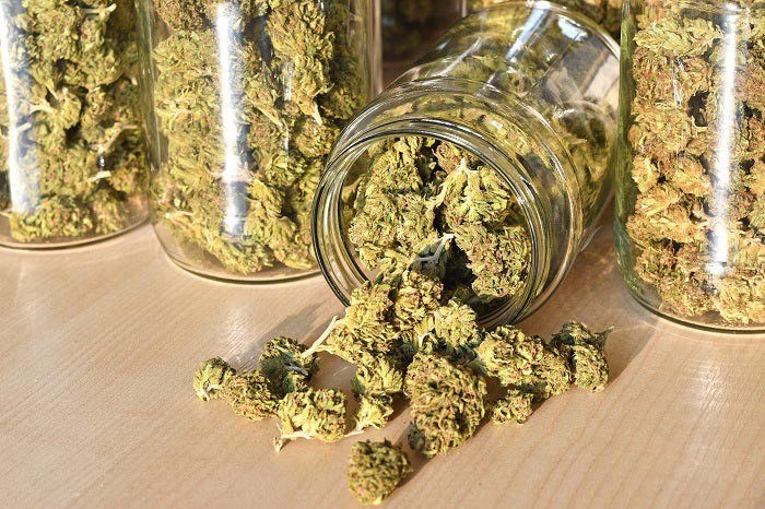 Weed is legal in Delaware, so what can (and can't) you do? - WHYY