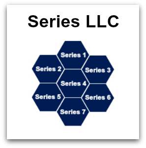 delaware Series LLC