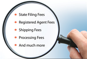 Delaware incorporation fees comparison